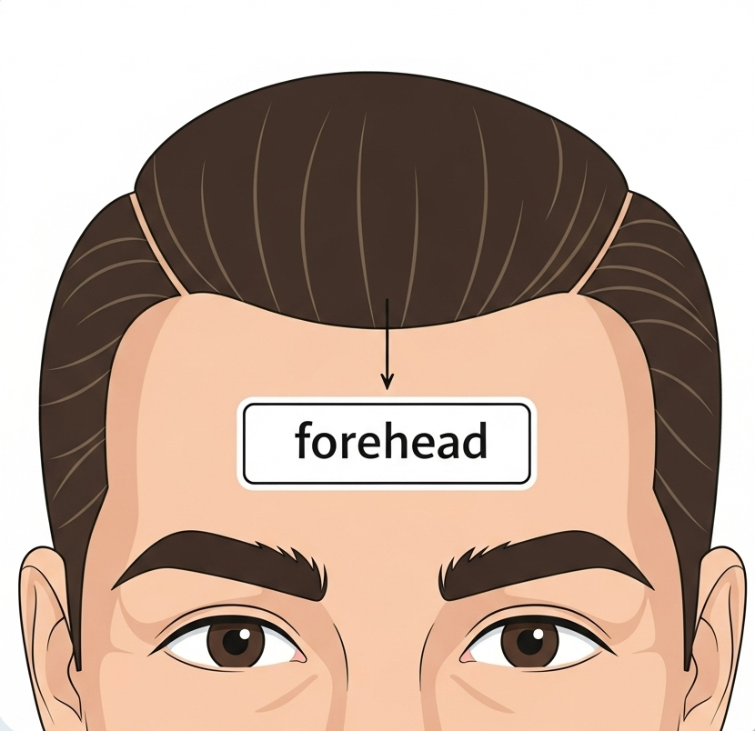 forehead